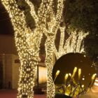 best holiday decor lights deals on amazon