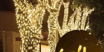 best holiday decor lights deals on amazon